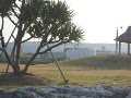 喜界島の風景 - 湾港から小野津方面