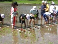 田植え（南部町　剣吉小学校）