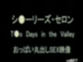 T●o Days in the Valleyサンプル動画