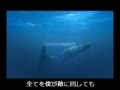 [MAD]ハンター×Diver[ナルトop風][歌詞付き]